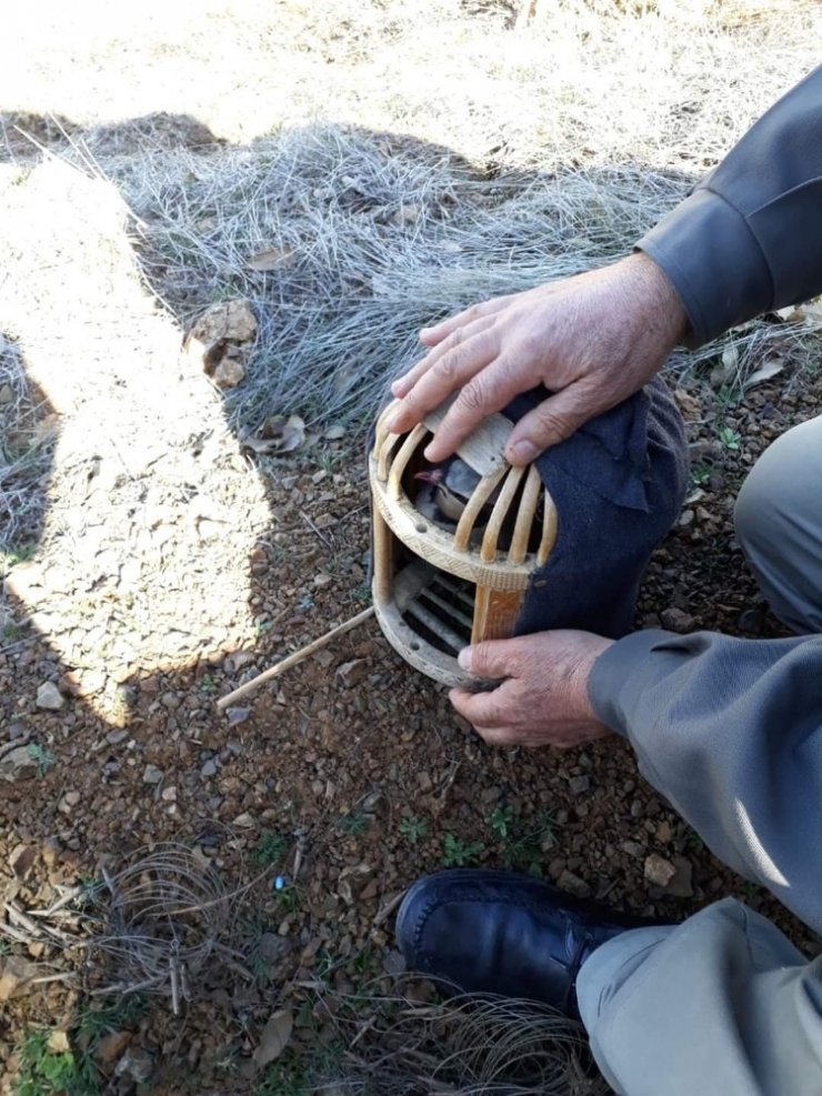 Tuzak ile kaçak keklik avlayan şahıs yakalandı