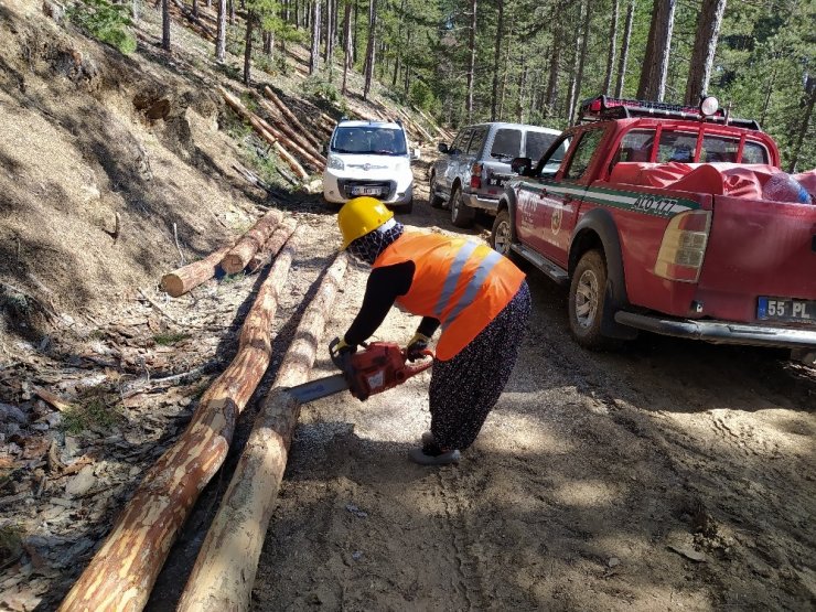 "Yılın kadını" Kunduz Ormanları’nda bulundu