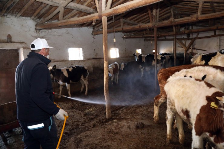 Aksaray Belediyesi larva ilaçlama çalışması başlattı