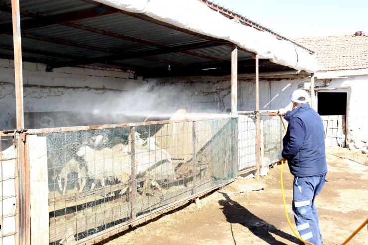 Aksaray Belediyesi larva ilaçlama çalışması başlattı