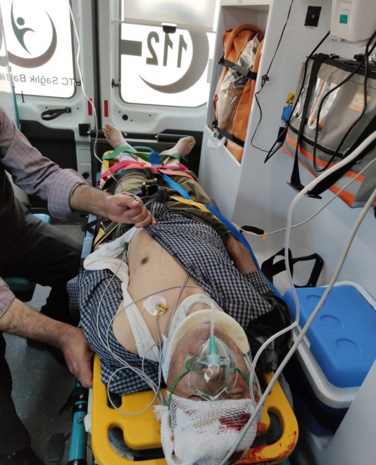 Ağaç budarken düşen şahıs ağır yaralandı