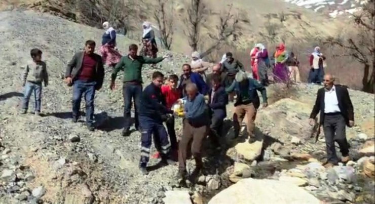 Ağaç budarken düşen şahıs ağır yaralandı