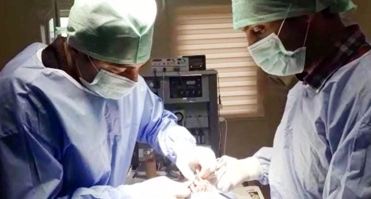 Bursa’da araba çarpan köpek ameliyat edildi