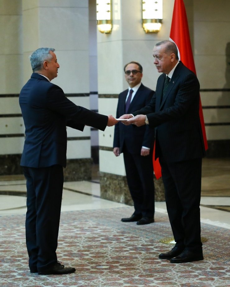 Cumhurbaşkanı Erdoğan, Moldova Büyükelçisini kabul etti