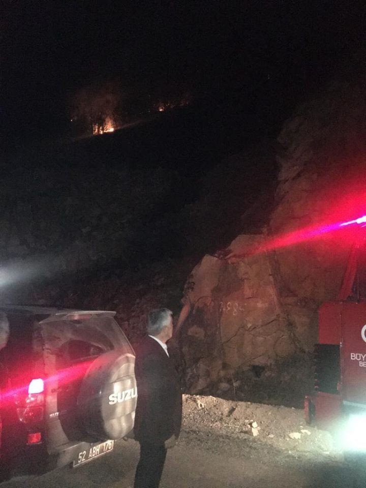 Ordu’da orman yangını