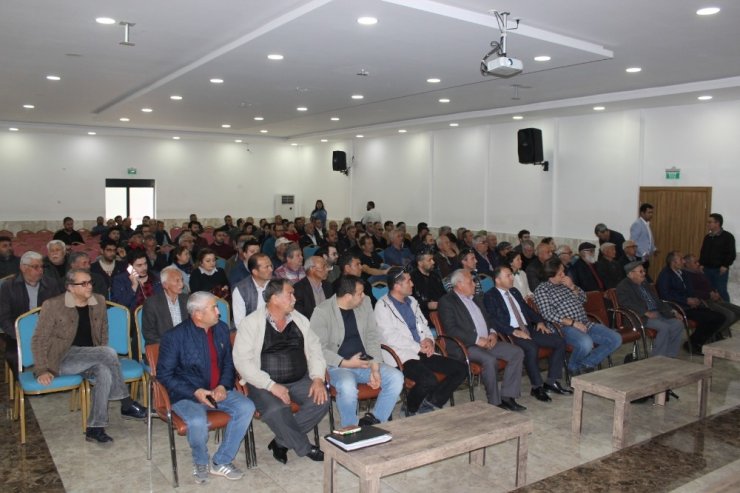 Silifke’de avokado, çiftçilerin yeni gözdesi olma yolunda
