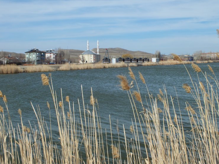 Ulaş Gölü göçmen kuşlarla şenlendi
