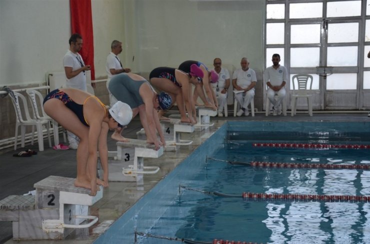 ANALİG yüzme yarışları
