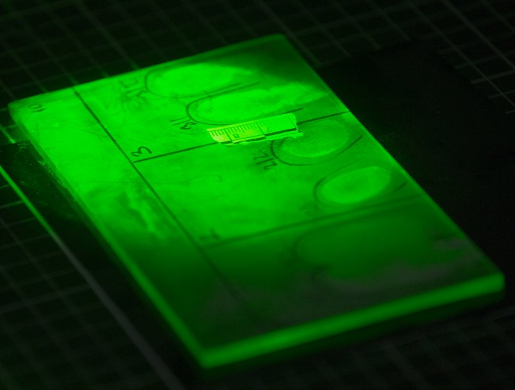 Jandarma ve emniyetin parmak izinde entegrasyonu olumlu sonuçlar verdi