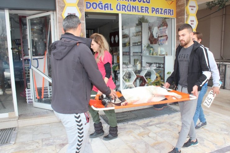 Köpeğe çarpıp kaçan sürücü plakayı yerde unuttu