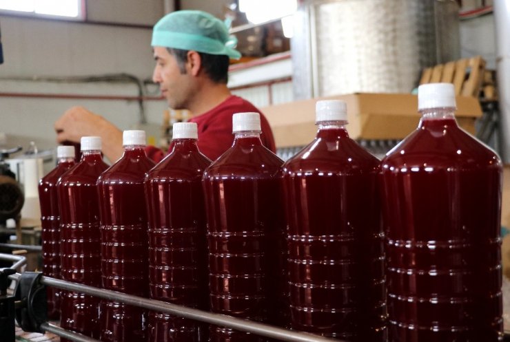 Adana’dan 46 ülkeye "şalgam suyu" ihracatı