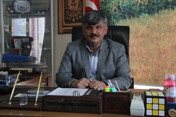 Soğan tohumları toprakla buluşmaya başladı