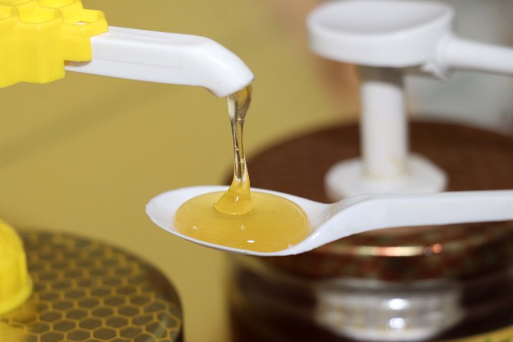 Arı ürünlerinin alternatif değil, tamamlayıcı tıp içerisinde değerlendirilmesi önerisi