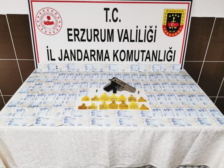 Jandarmadan sahte para operasyonu: 3 gözaltı