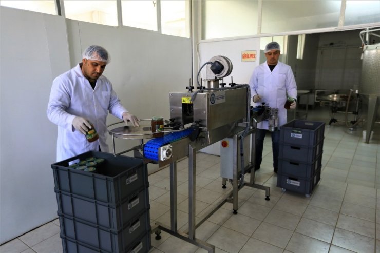 Büyükşehir’den bal kooperatiflerine destek