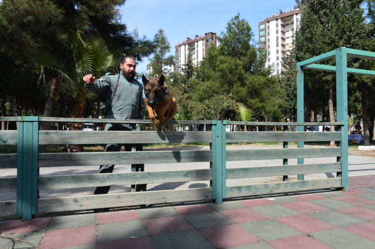 Uyuşturucu avcısı "Hera" emekli oldu