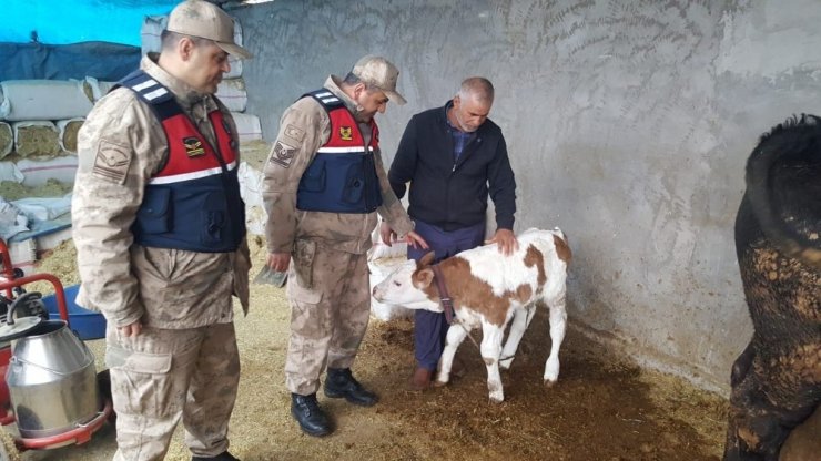 Hırsızlık, 258 saatlik kamera görüntüsü ile çözüldü