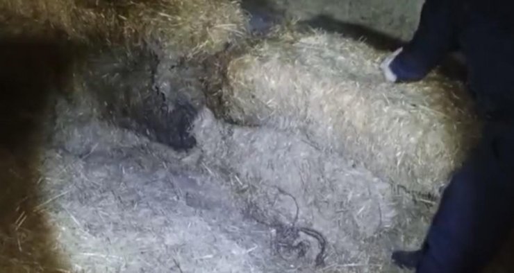 Çaldıkları kabloları samanlıkta sakladılar