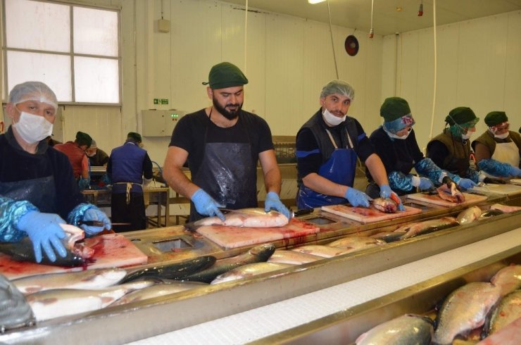 Gürdoğan: Doğu Karadeniz’den su ürünleri ihracatındaki artışı karşılamak için yeni yatırımlar yapmak gerekiyor"