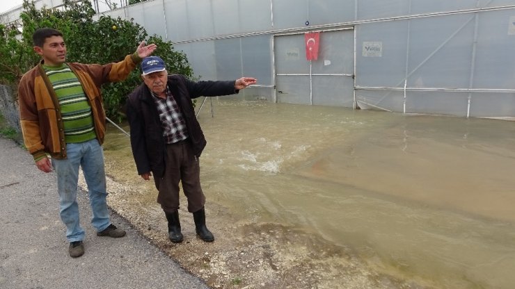 Erdemli’de Limonlu Deresi taştı seraları ve siteleri su bastı