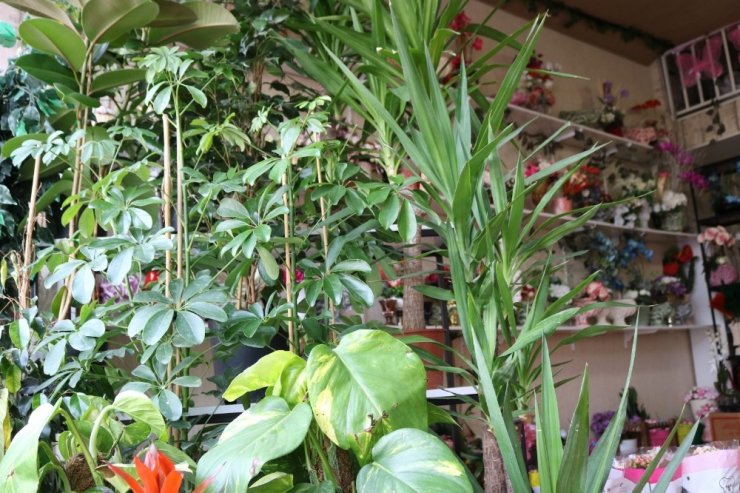 Korona virüsü ithal ürünleri de vurdu