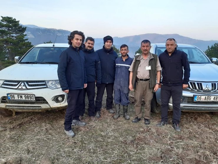 Kaçak avcılar yakalandı