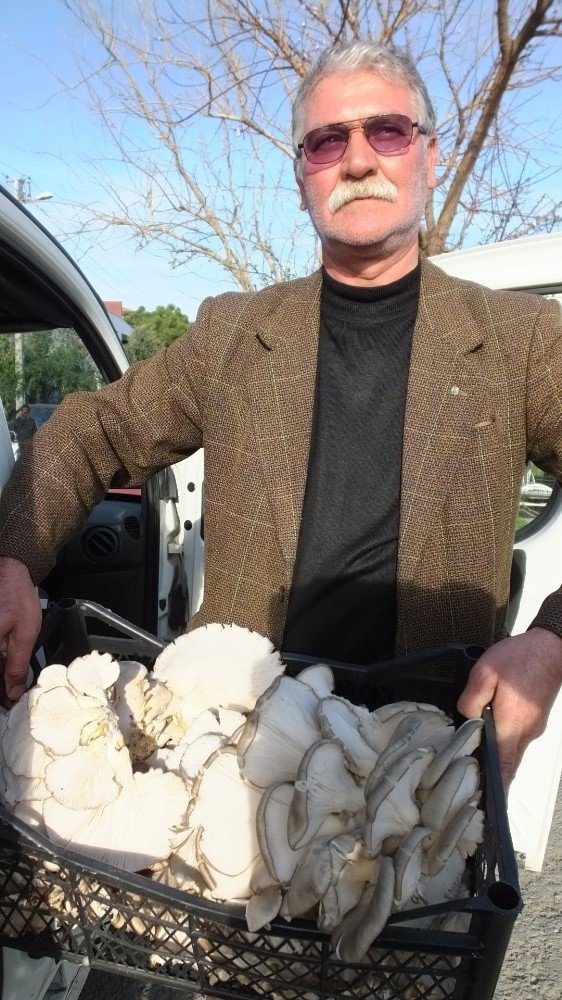 Emekli itfaiyeci, mantar üreticisi oldu