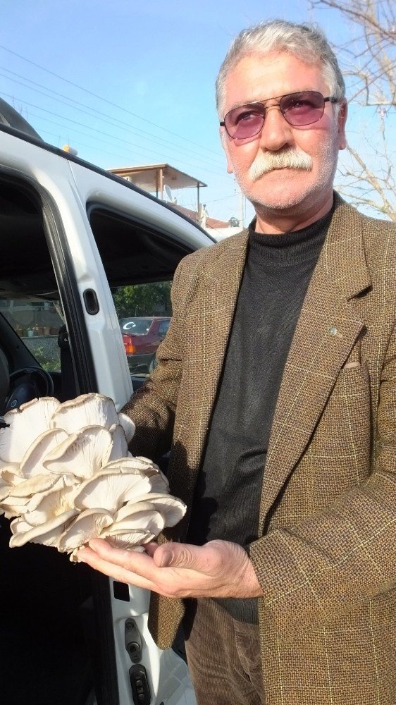 Emekli itfaiyeci, mantar üreticisi oldu