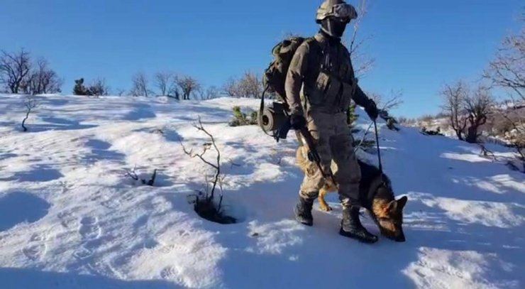 Jandarmanın ’hassas burunlu’ yardımcıları görev başında