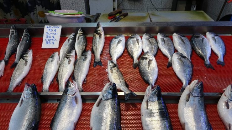 Balık sezonu onlar için artık bitti