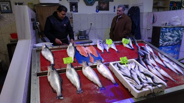 Balık sezonu onlar için artık bitti