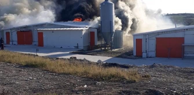 Bursa’da tavuk tesisi alev alev yandı...