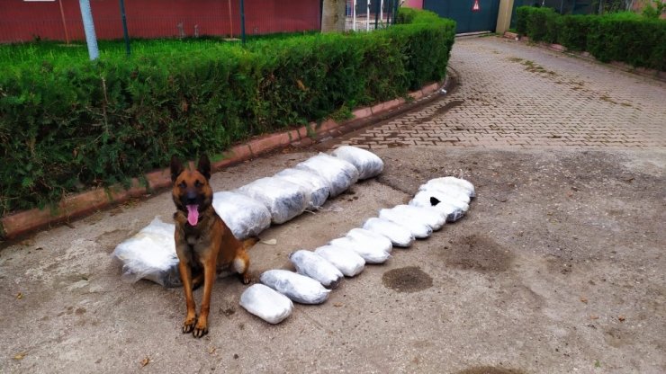 "Oscar" 49 kilo 700 gram esrar buldu