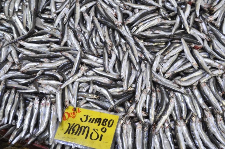 Afyonkarahisar’da 10 liraya satılan hamsi balığına yoğun talep