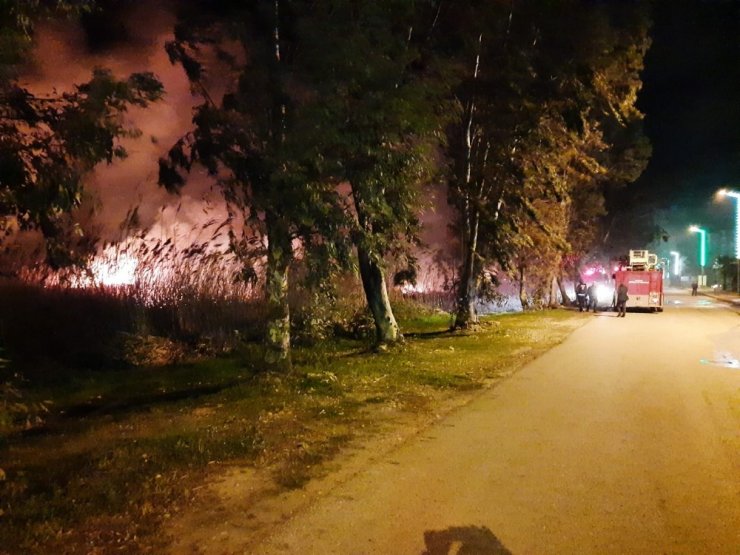 Serik’te sazlık alan yangını kısmen kontrol altına alındı