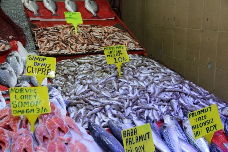 Sezonun son balıkları ‘10 lira’