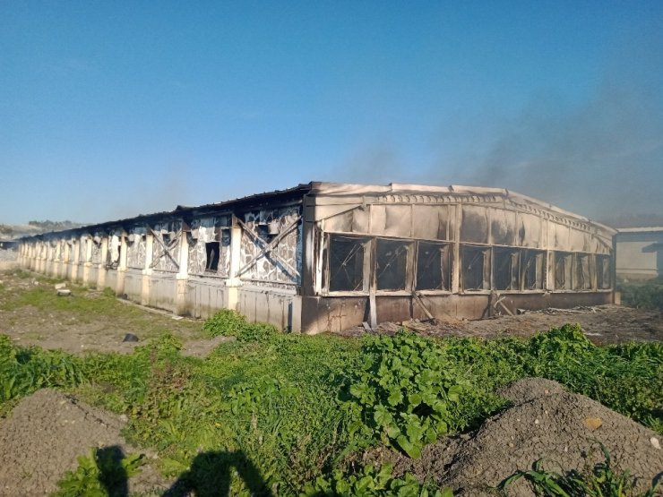 Elektrik kontağı tavukhaneyi küle çevirdi