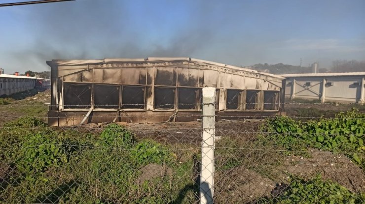 Elektrik kontağı tavukhaneyi küle çevirdi