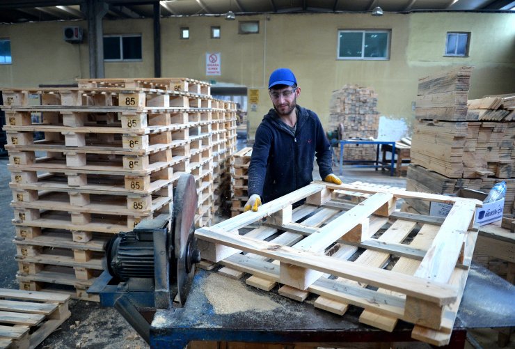 İki kardeşin ürettiği paletler 10 ülkeye ihraç ediliyor