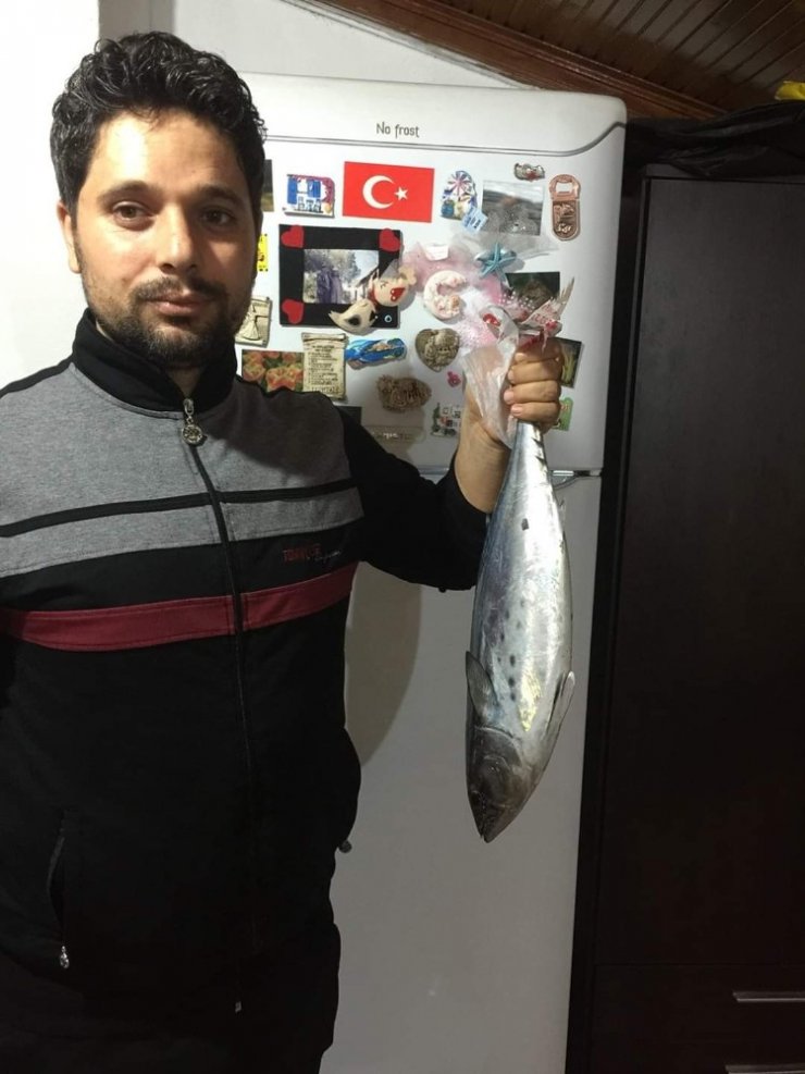 Pazar günü denize açılan üç arkadaşın arama çalışmaları sürüyor
