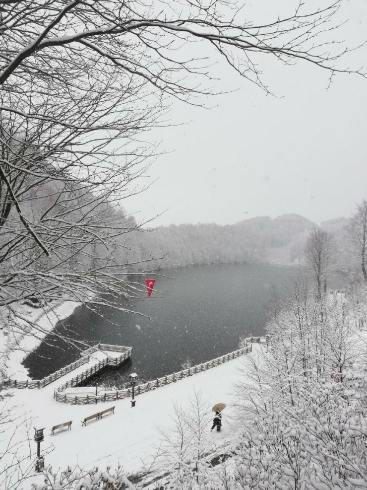 Ordu ve Giresun'da kar etkili oldu