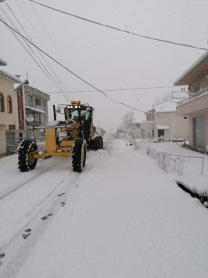Ordu ve Giresun'da kar etkili oldu