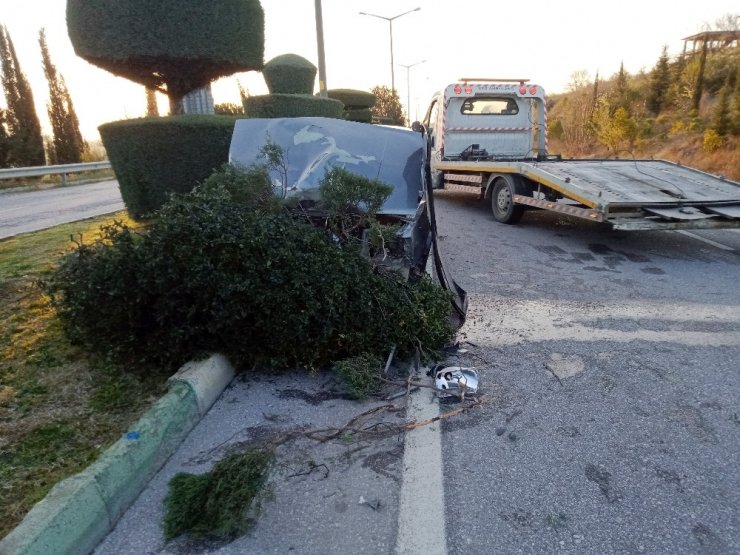 Otomobil refüjdeki ağaçları yerinden söktü