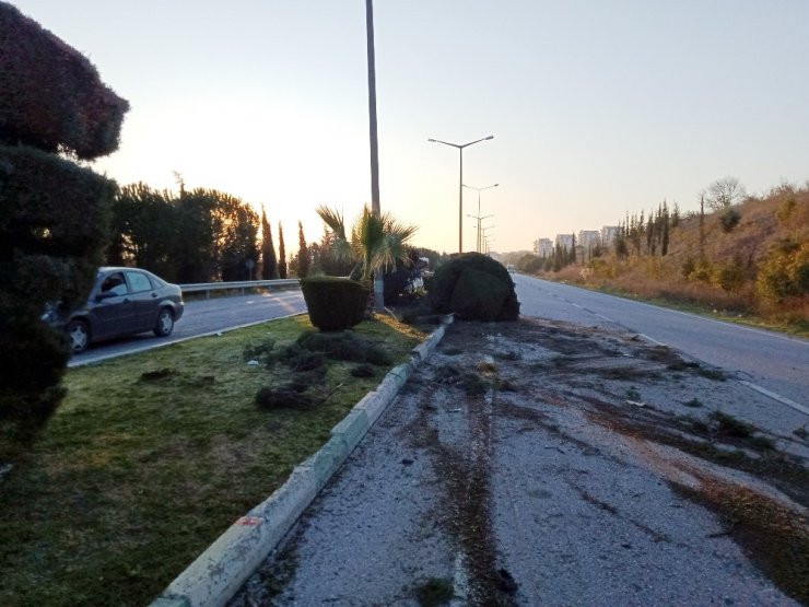 Otomobil refüjdeki ağaçları yerinden söktü