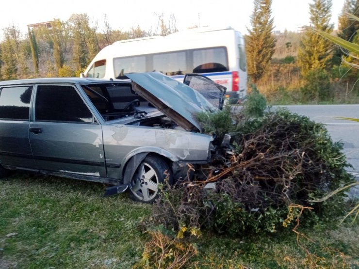 Otomobil refüjdeki ağaçları yerinden söktü
