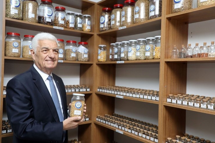 Okulların yerel tohumu Muğla Büyükşehirden