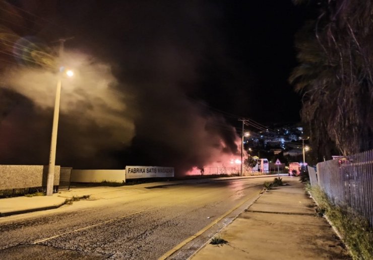 Bodrum’da 2 otobüs cayır cayır yandı