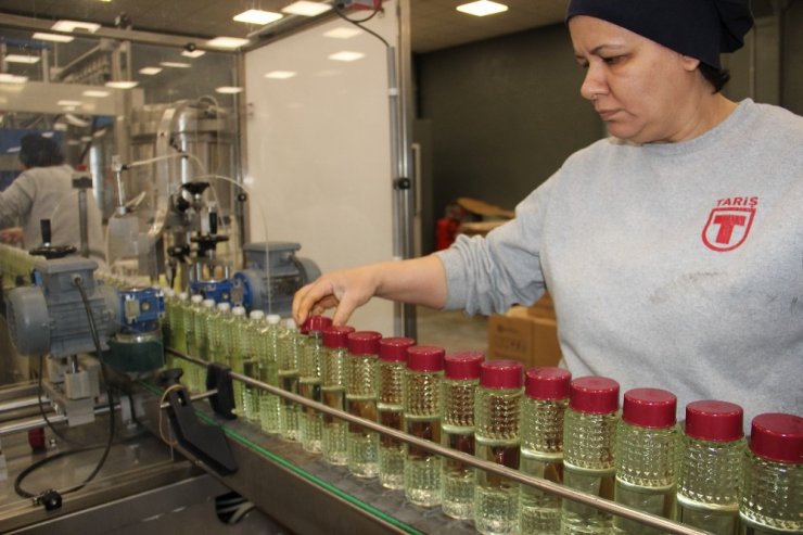 Tariş Kolonya Fabrikası tam kapasite üretime başladı