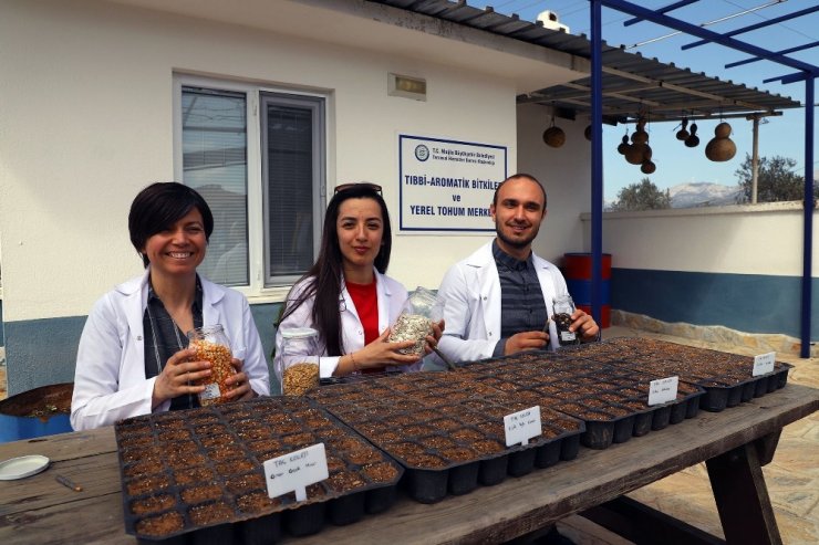 Okulların yerel tohumu Muğla Büyükşehirden