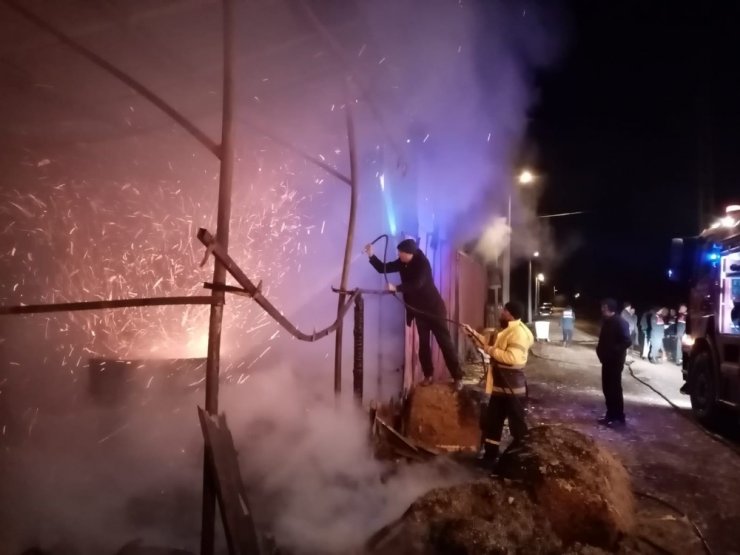 Bilecik’teki ahır ve samanlık yangınında 10 büyükbaş hayvan telef oldu